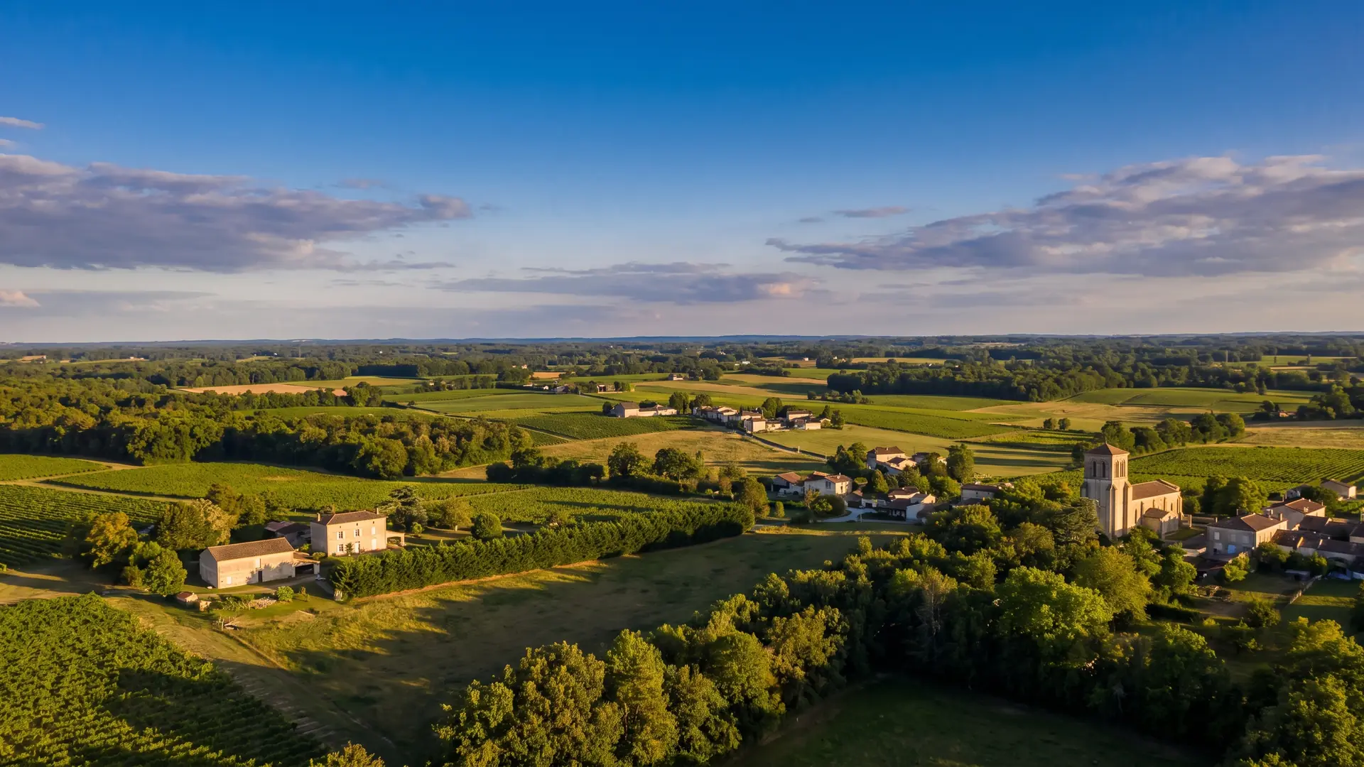 Un panorama de la campagne du nord du Libournais en Gironde, vignes, champs, haies et bois s'étendant vers un horizon boisé