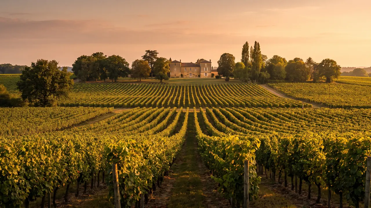 VTC Bordeaux vers Libourne — vignoble du Libournais