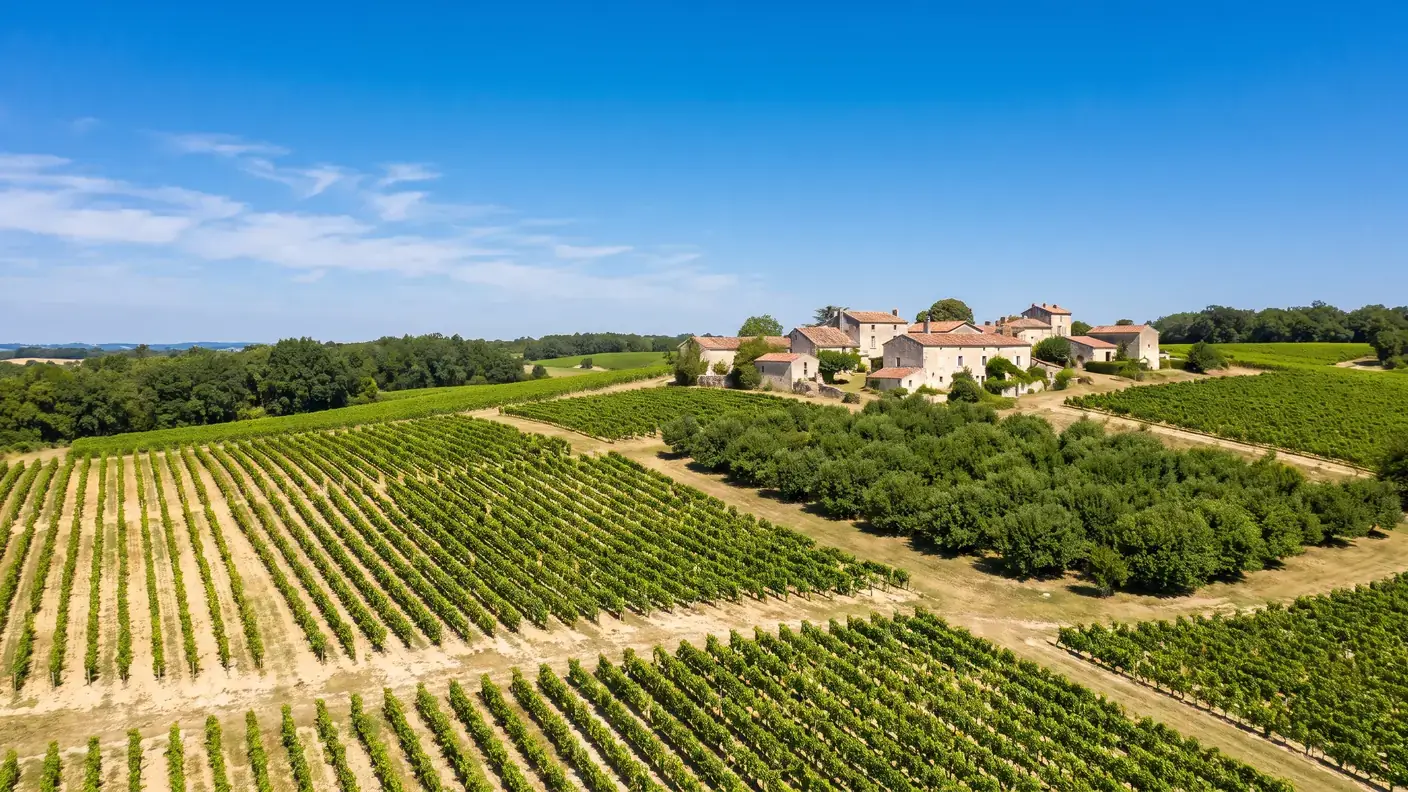 VTC Bordeaux vers Loubès-Bernac — pays de Duras