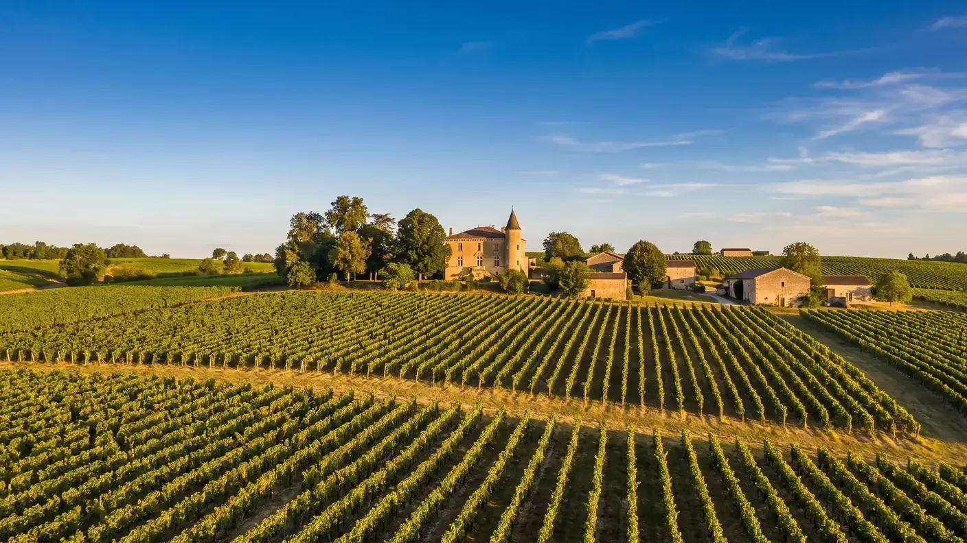 VTC Bordeaux vers Lussac-Saint-Émilion — Libournais