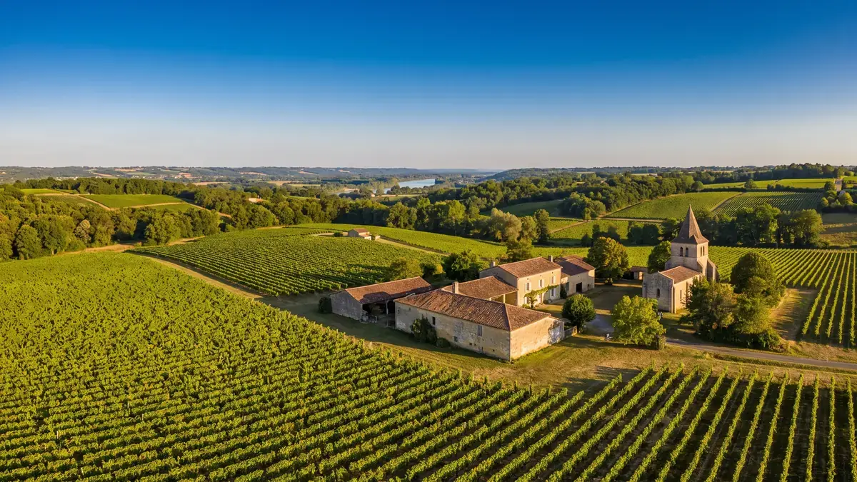 Vignes des Côtes du Marmandais sur les coteaux de Garonne