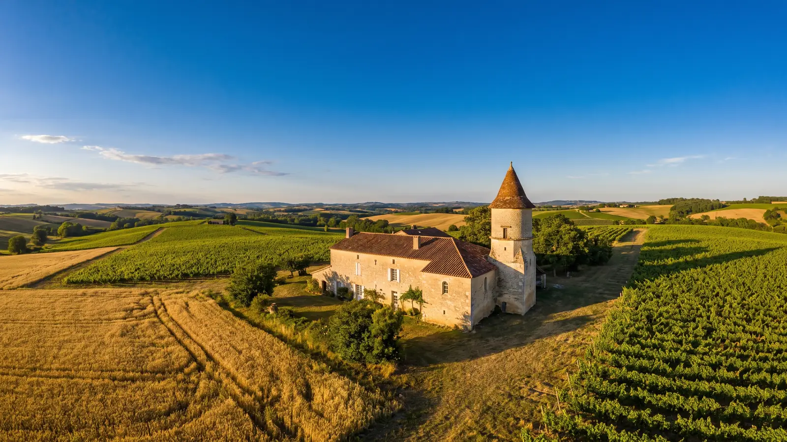 Ferme en pierre et rangs de vigne dans la campagne du Gers