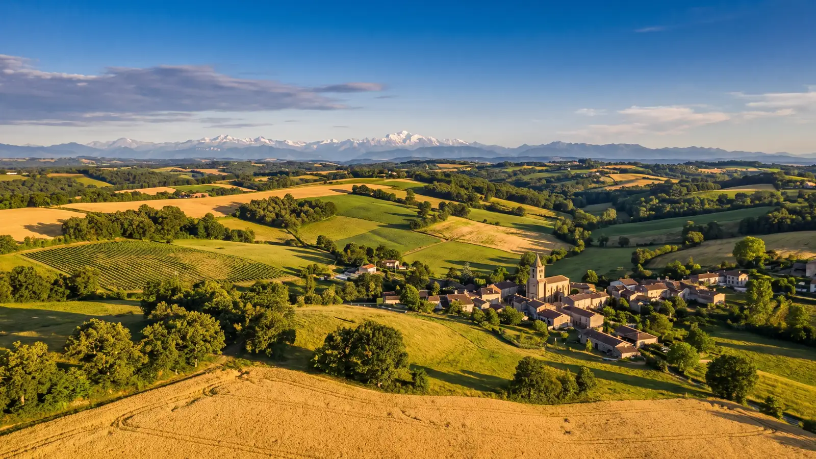 Panorama sur les collines agricoles de l'Astarac et les Pyrénées