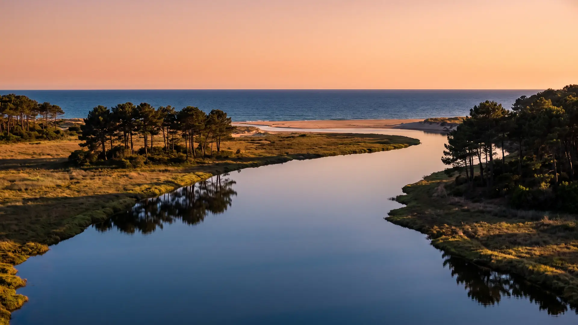 Une rivière côtière calme entre berges herbeuses et pins maritimes, filant vers l'océan dans la lumière dorée