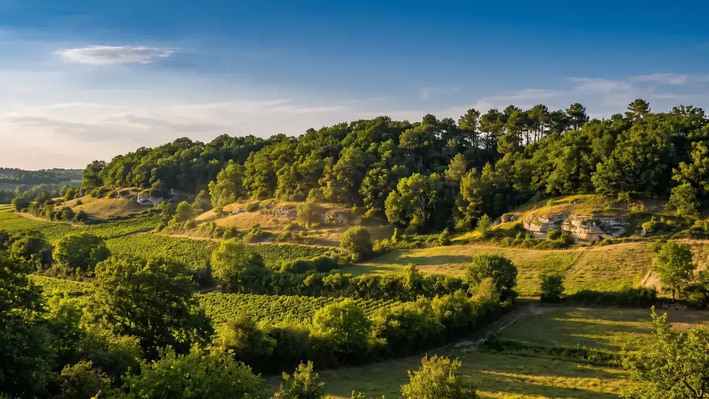 VTC Bordeaux vers Mirambeau — Haute-Saintonge