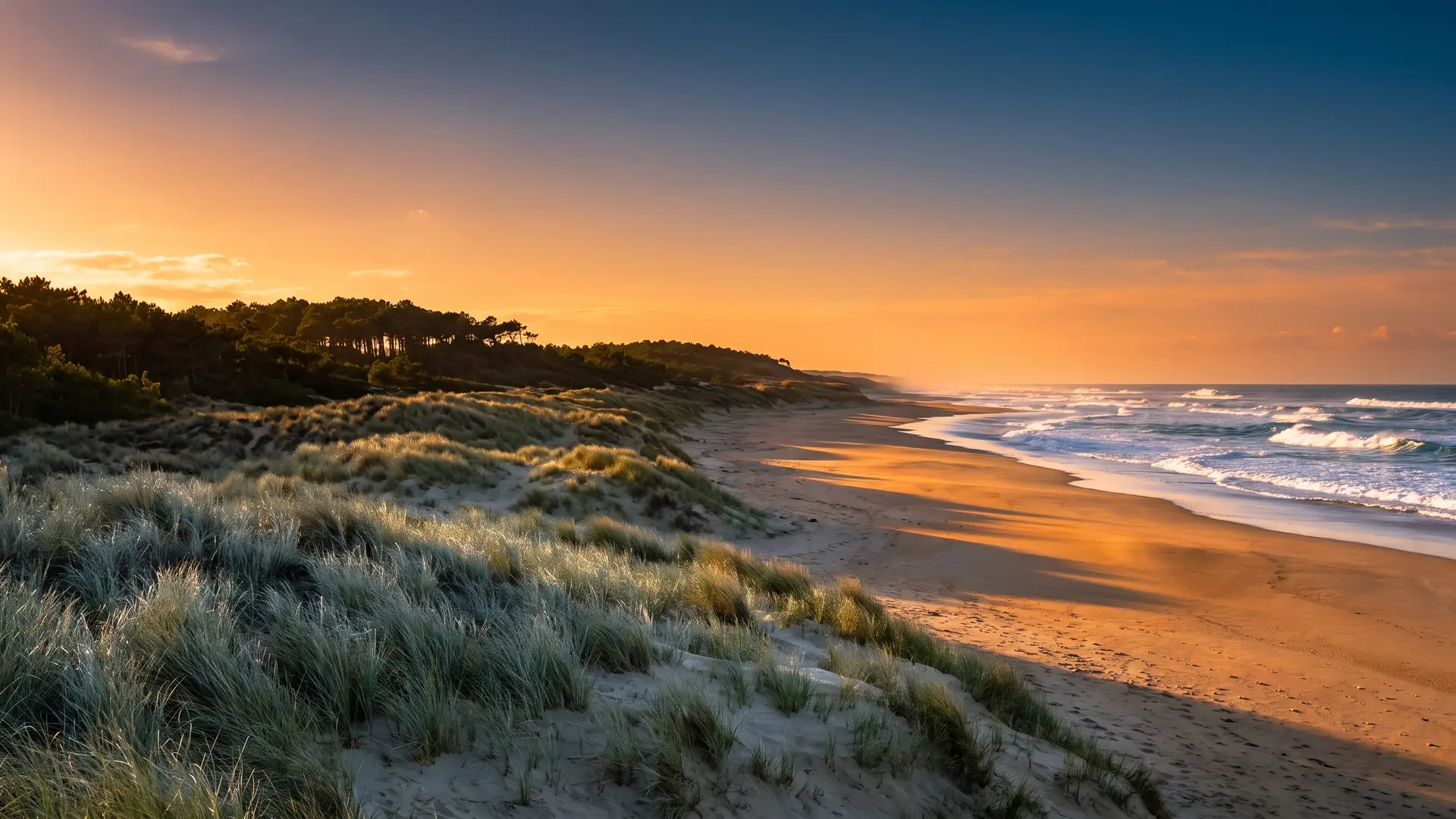 VTC Bordeaux vers Moliets-Plage — côte sud des Landes
