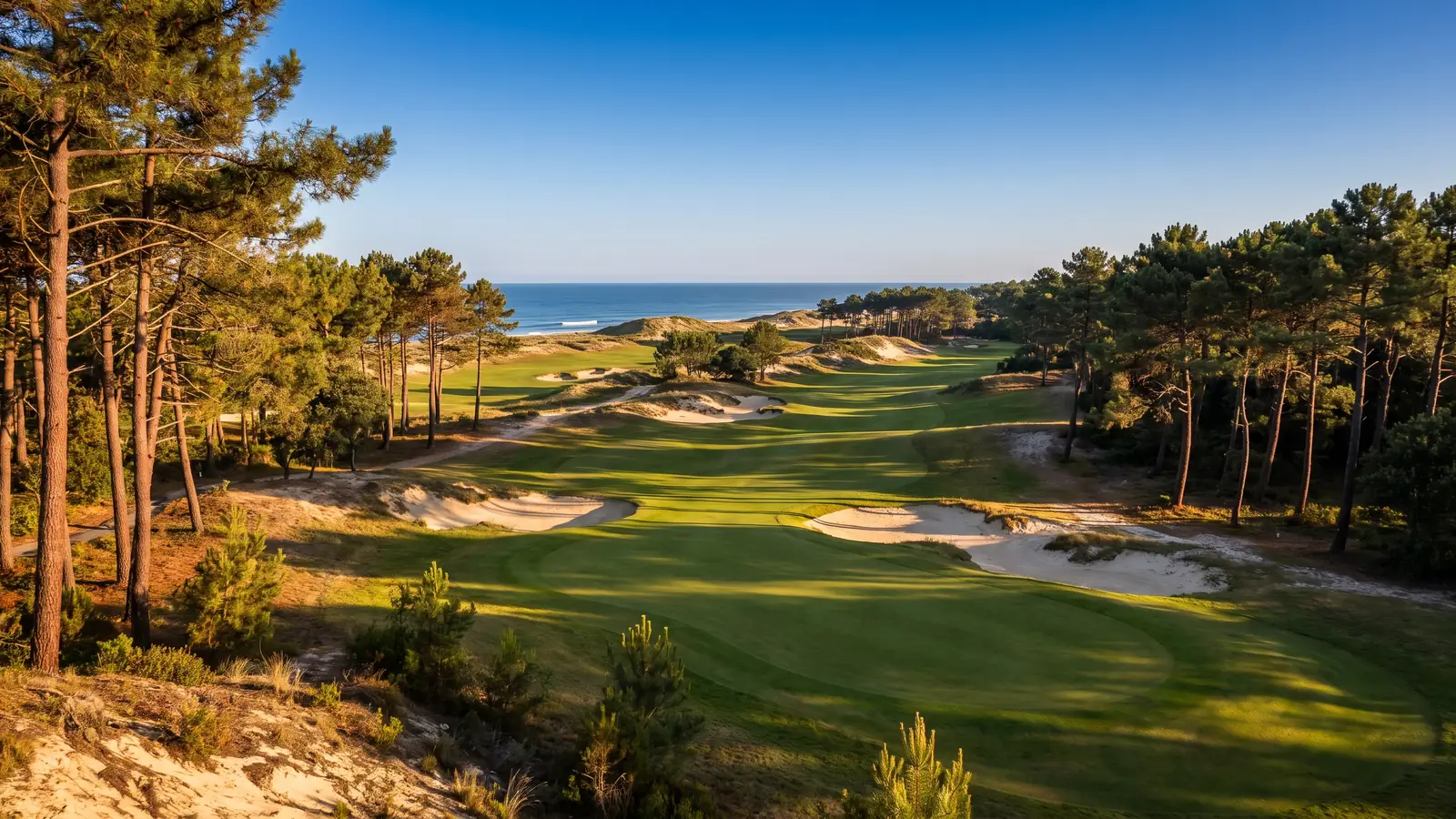 Un parcours de golf de style links entre grands pins maritimes et dunes de sable, l'océan scintillant au loin