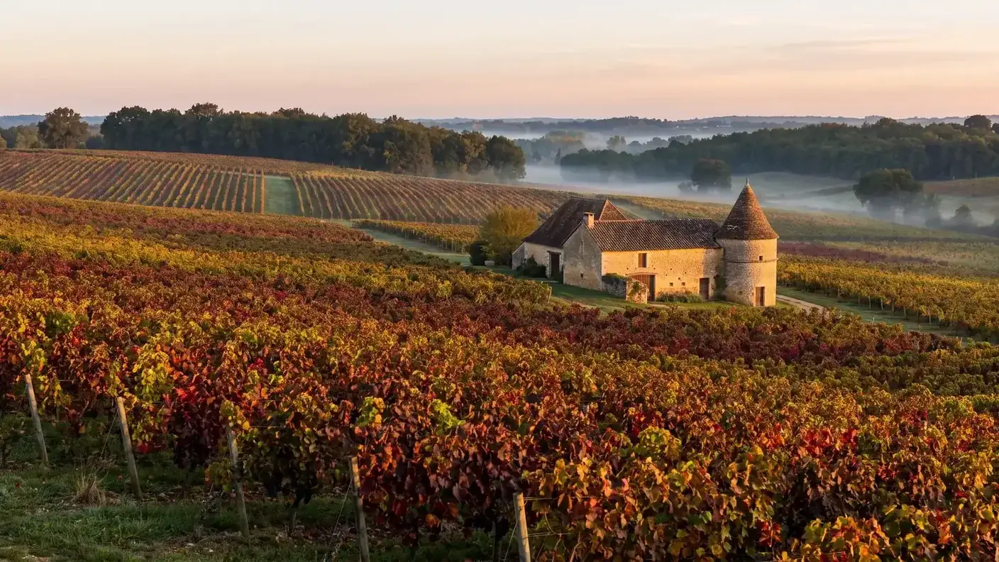 Vignoble de Monestier aux couleurs d'automne