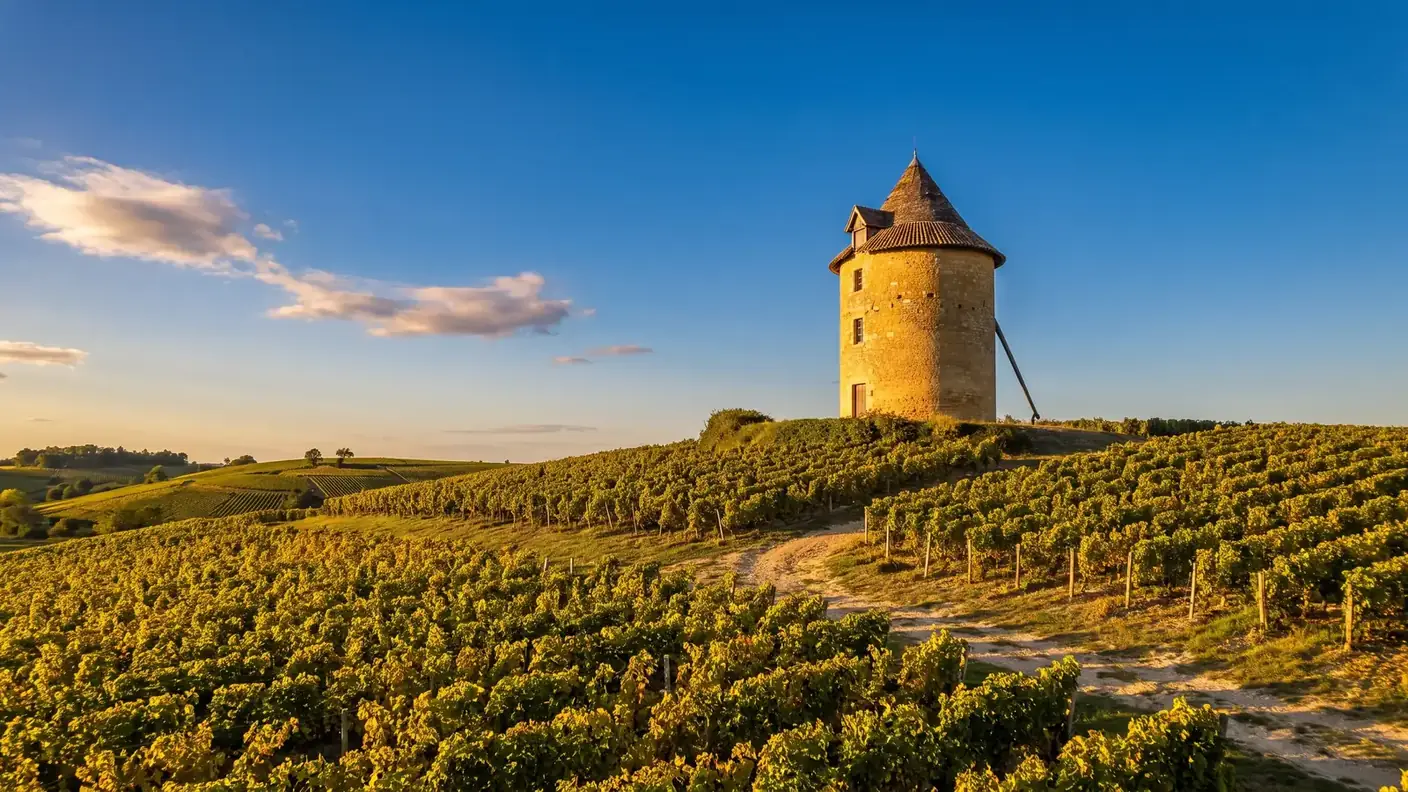 Moulin en pierre de Calon entouré de vignes