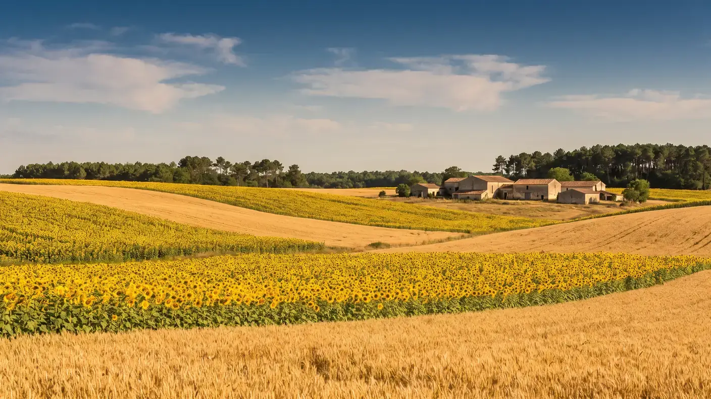 VTC Bordeaux vers Montendre — Haute-Saintonge