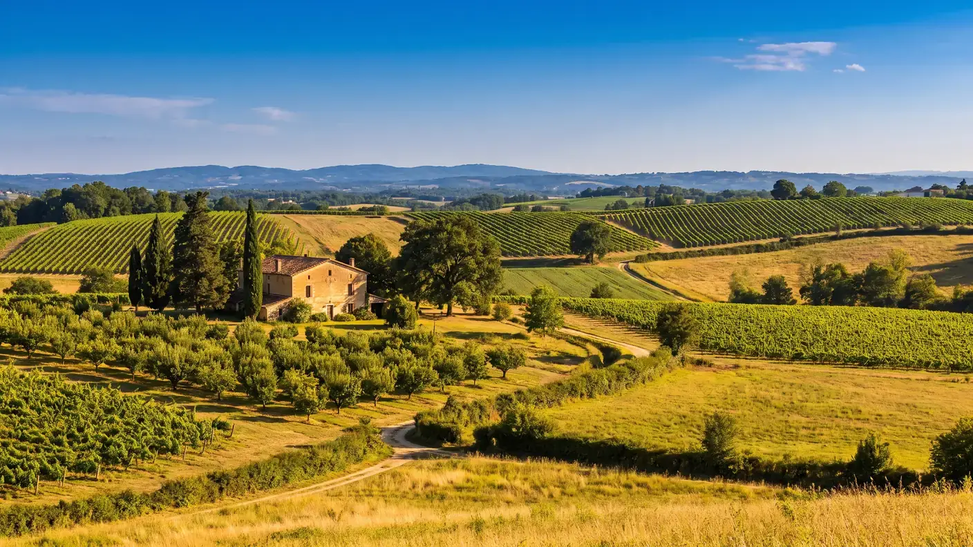 Le vignoble du pays d'Albret autour de Buzet-sur-Baïse, étape œnotouristique de journée depuis Nérac