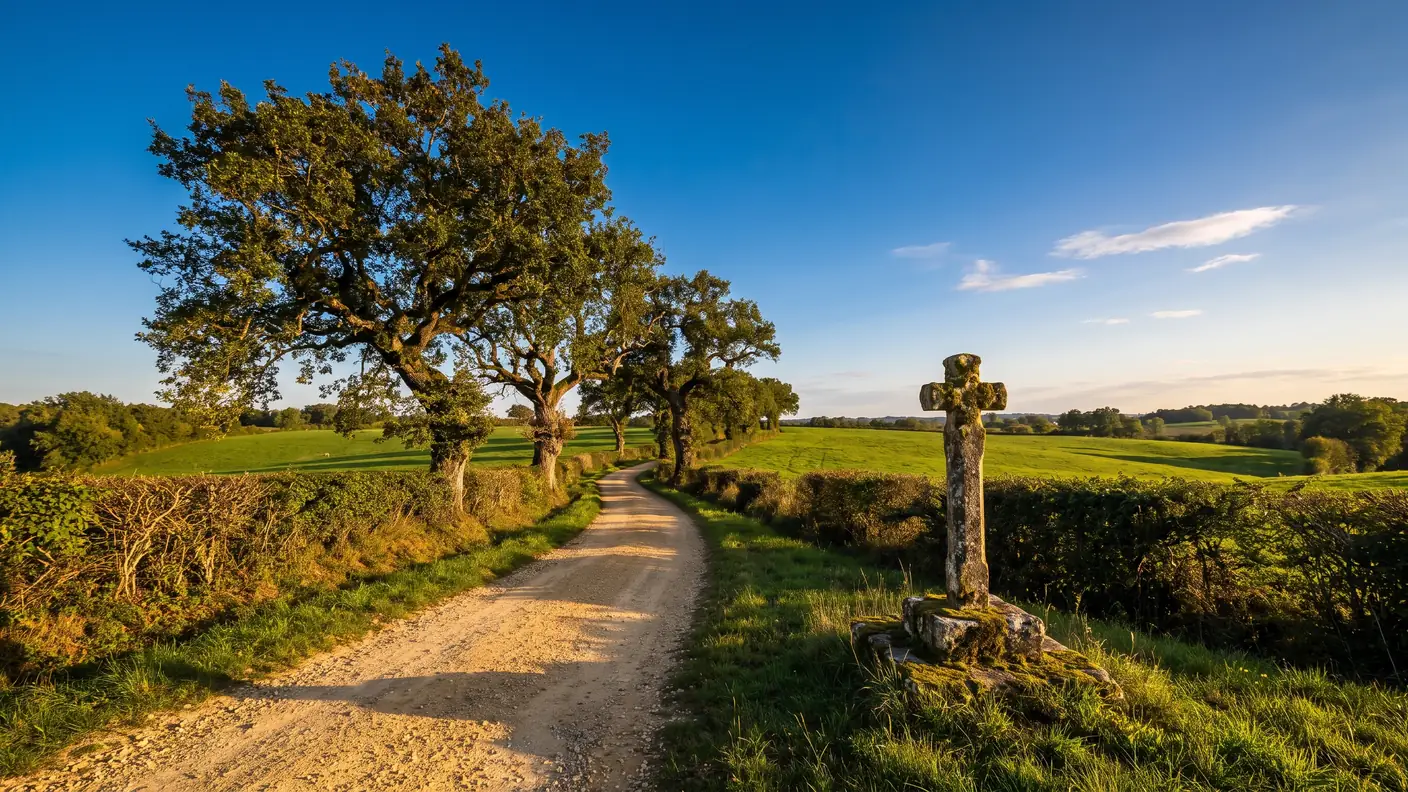 Un chemin de pèlerinage de Compostelle serpentant entre prairies et haies du Pays d'Orthe, dans les Landes