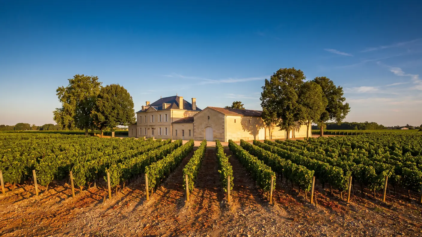 Propriété viticole en pierre entourée de vignes à Pomerol