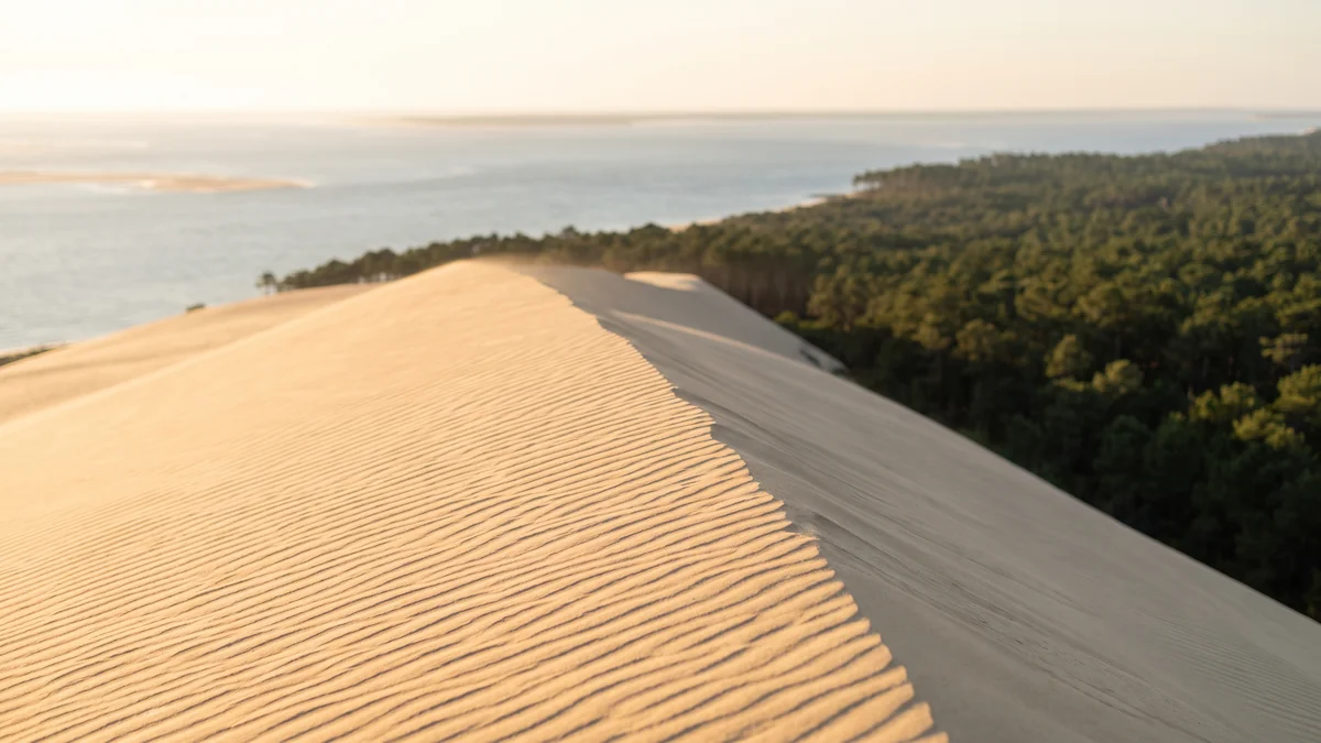 Famille montant l'escalier de la Dune du Pilat après une dépose en van