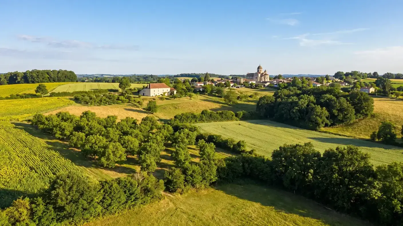 Noyers, tournesols et collines du Périgord vert autour de Ribérac