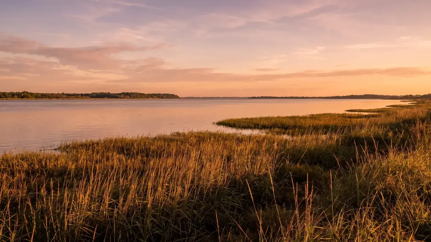 Les rives de l'estuaire de la Gironde au coucher du soleil en Charente-Maritime