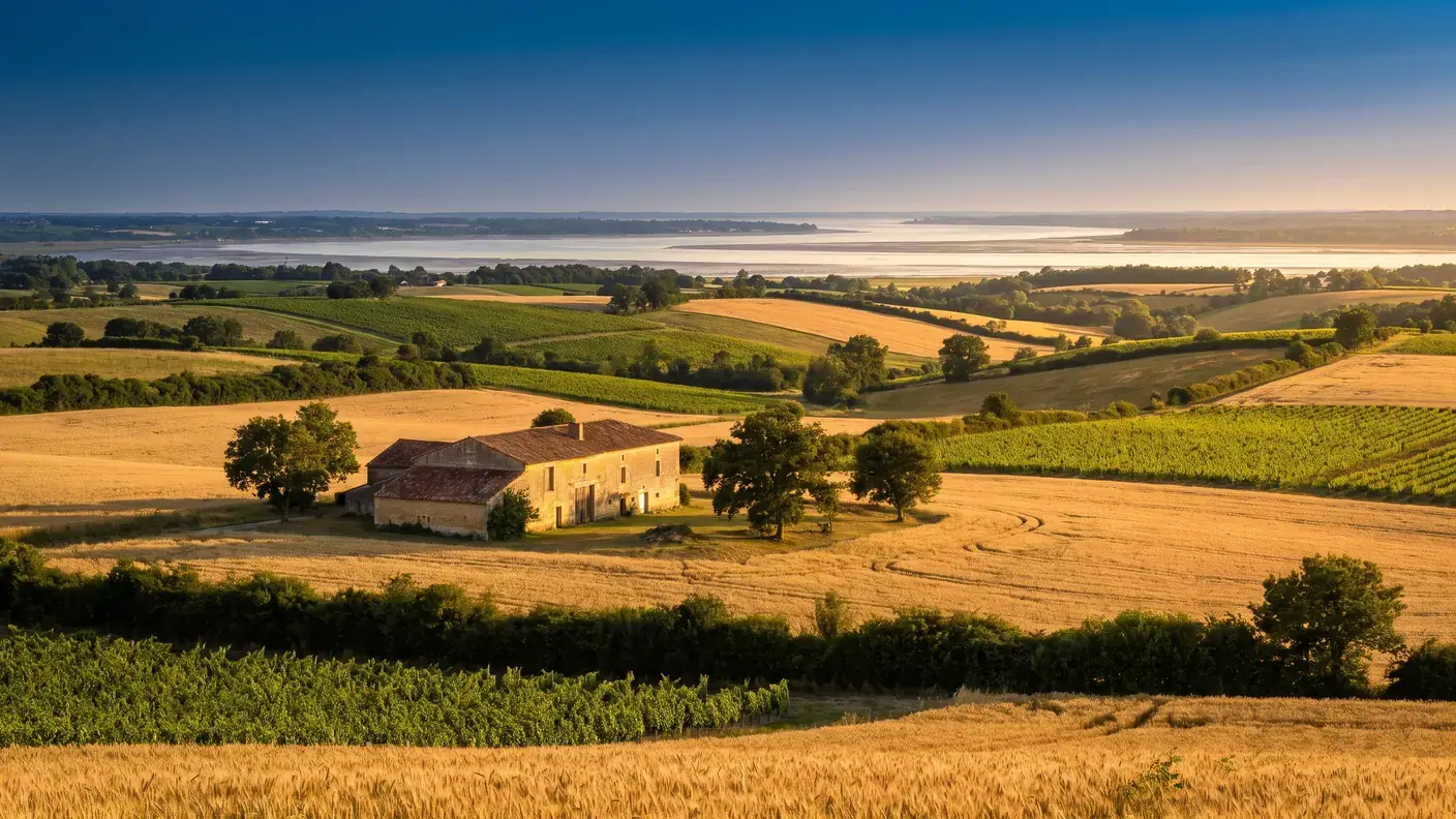 La campagne agricole vallonnée de Sainte-Ramée dans la Haute-Saintonge, champs de céréales dorés et vignes en patchwork