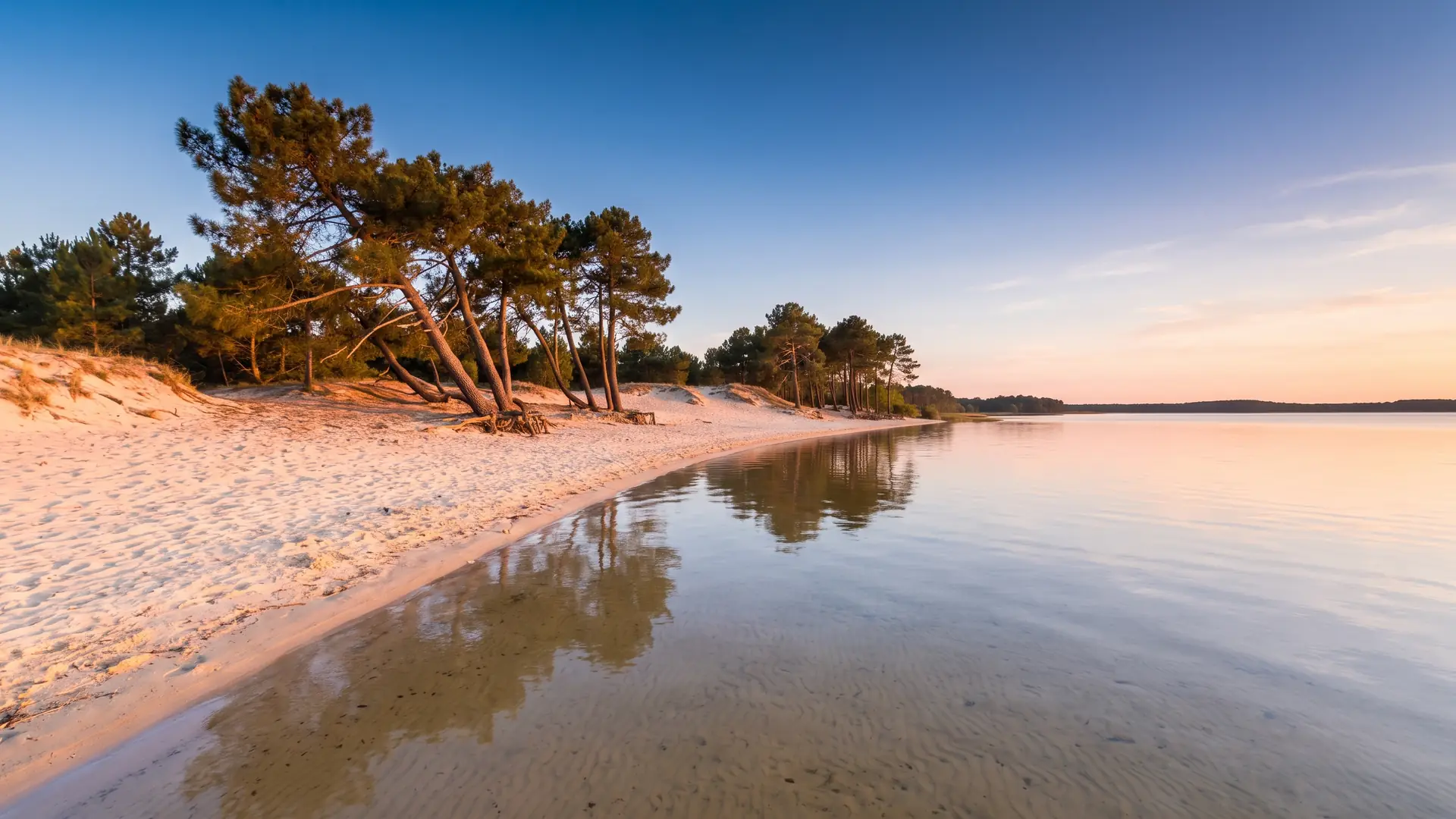 VTC Bordeaux vers Sanguinet — pays de Born, Landes
