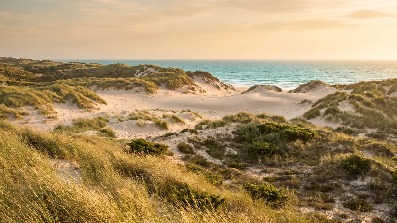 Cordon de dunes de sable pâle couronné d'oyats à Soulac-sur-Mer sous un ciel chaud