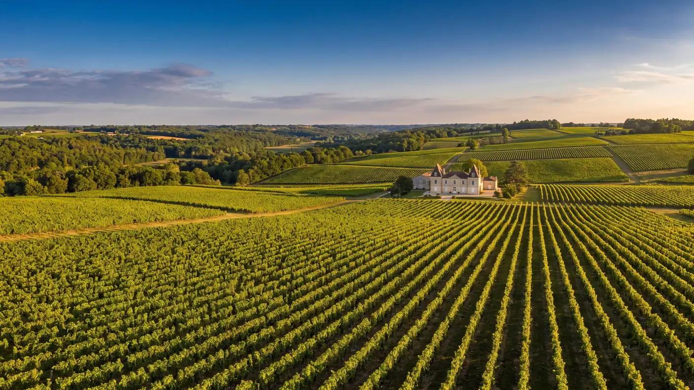 Des rangs de vignes bordelaises sur les coteaux vallonnés de l'Entre-deux-Mers, un château viticole en pierre