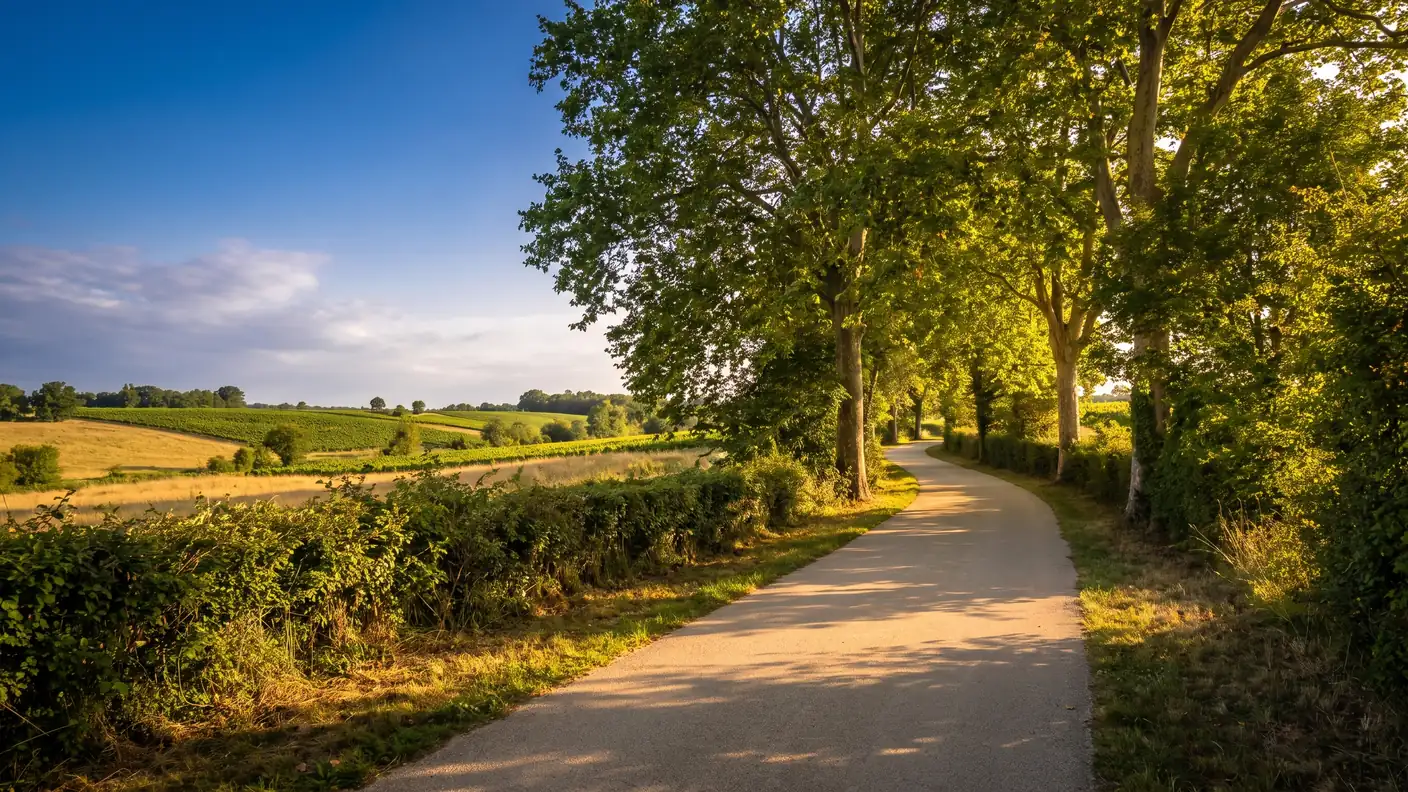 Une allée verdoyante bordée d'arbres et de haies traversant la campagne viticole de l'Entre-deux-Mers