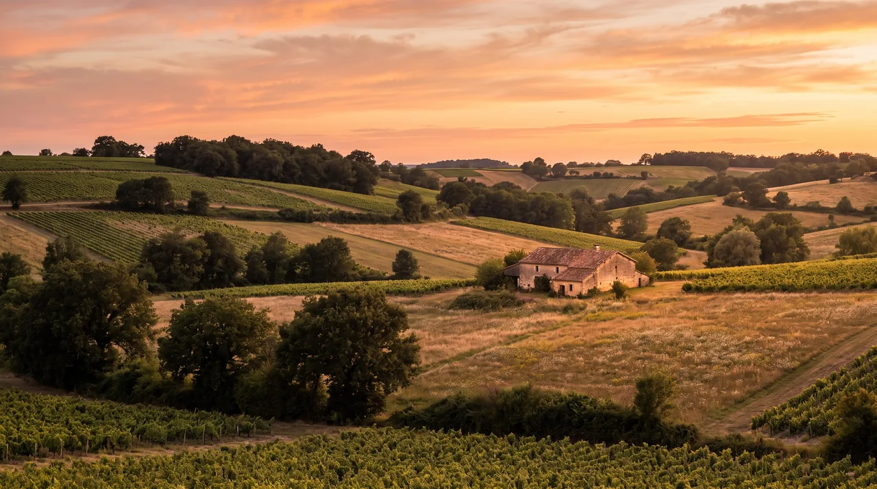Coteaux de l'Entre-deux-Mers près de Tizac-de-Curton au coucher du soleil, pentes de vignes et de champs, ferme au loin