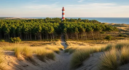 Chauffeur privé VTC Bordeaux vers Cap Ferret, village ostréicole